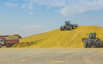 Quality corn silage starts now