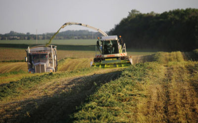 Harvesting haylage: A tricky endeavor and considerations for the future