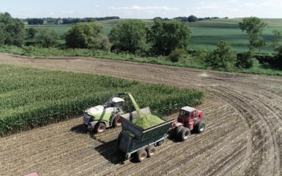 Producing Quality Corn Silage from Proper Processing
