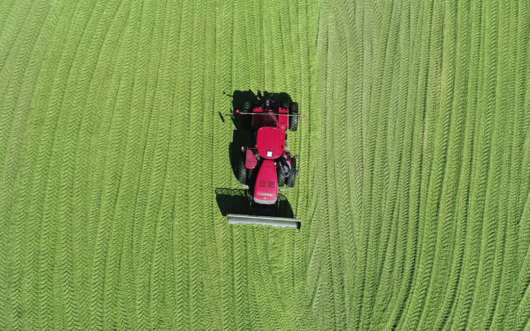 Critical Control Points at Corn Silage Harvest