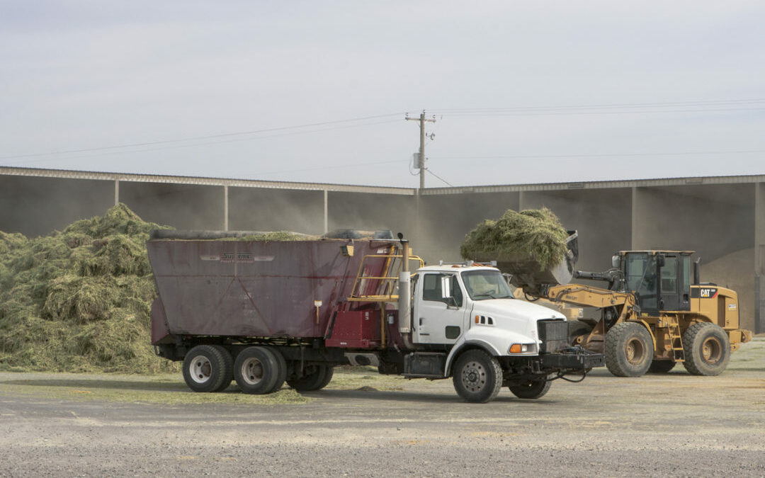 Tips for building skilled farm labor through employee trainings