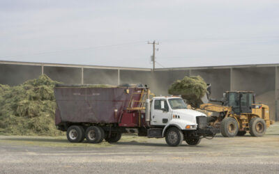 Tips for building skilled farm labor through employee trainings