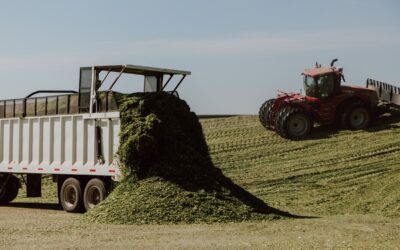 Inoculation Contemplation: Getting the Most From Your Investment