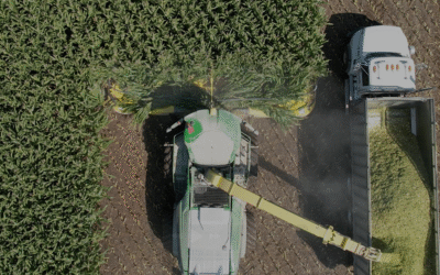 Top 5 Tips for the Silage Savant