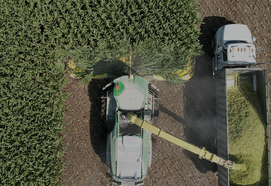 Top 5 Tips for the Silage Savant