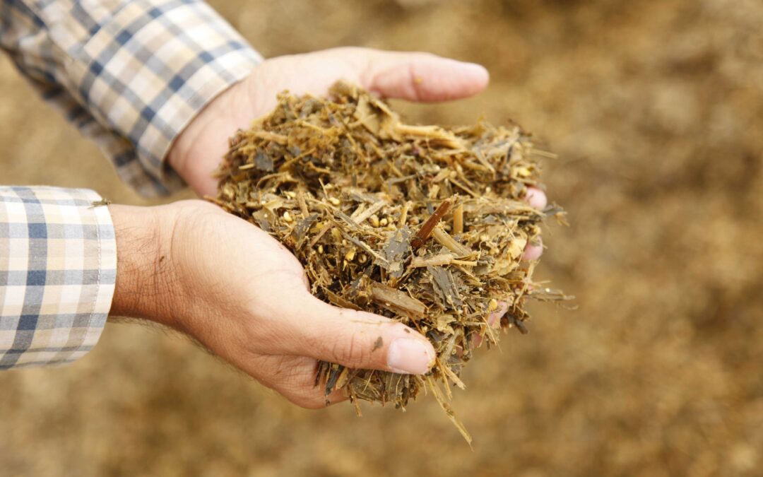 Demystifying Feed Sample Analysis Methods