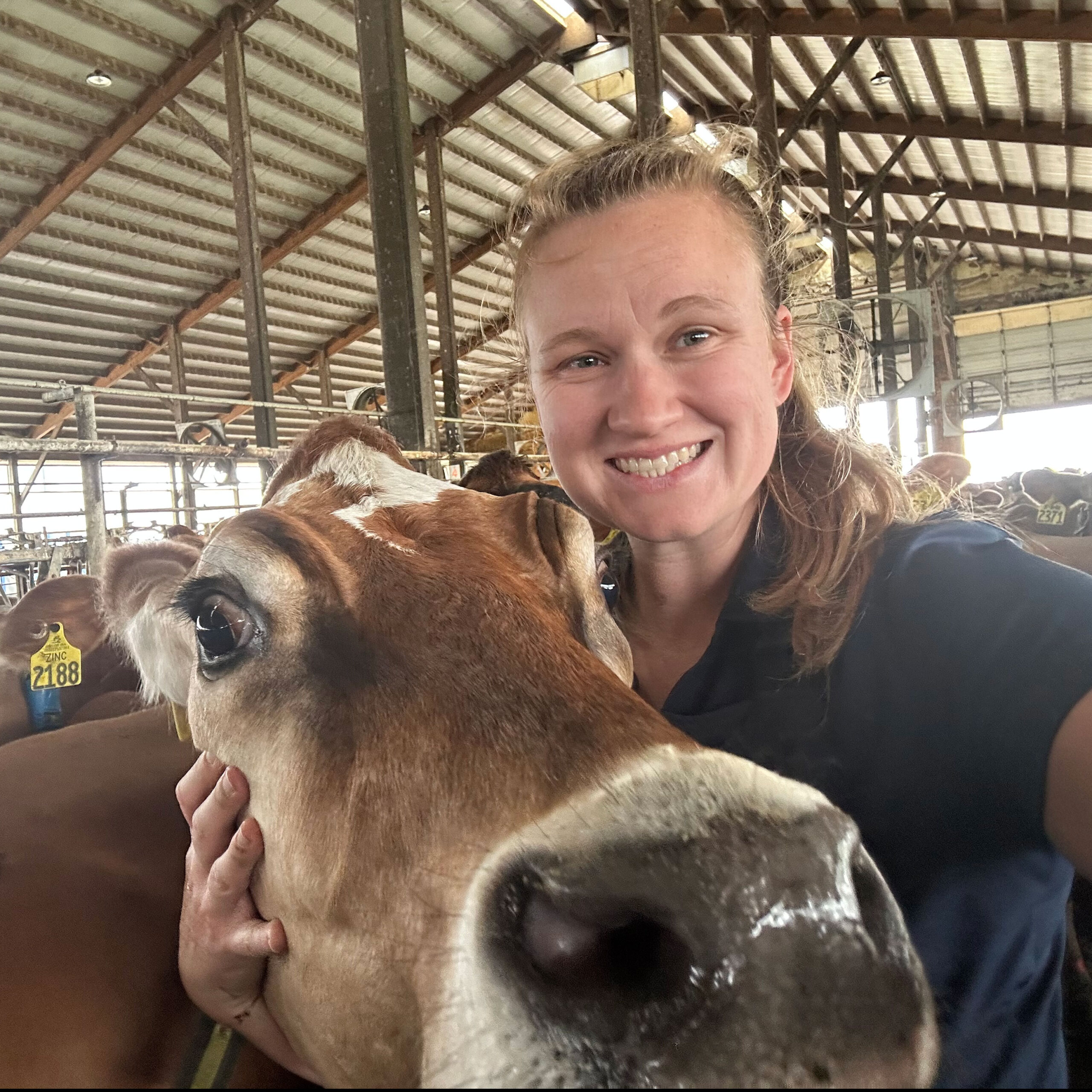 Barloe Kanz - Standard Dairy Consultants - Nutrition & Management Consultant - Minnesota